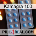 Kamagra 100 viagra4